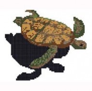Turtle S_001