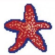 Estrella de Mar 3
